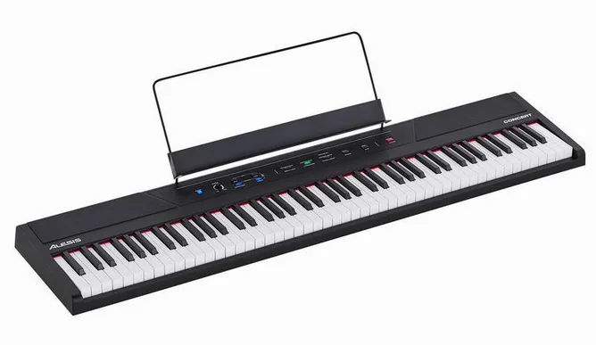 Alesis Concert, vy 2