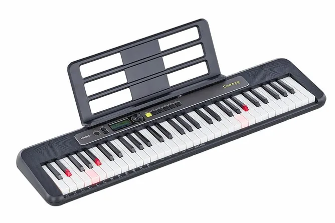 Casio LK-S250, vy 2