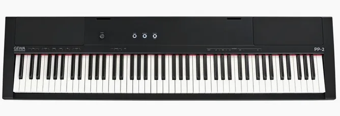 Gewa PP-2, vy 3