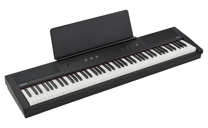 Gewa PP-3, vy 2