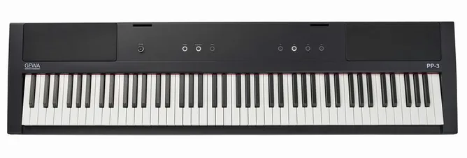 Gewa PP-3, vy 3
