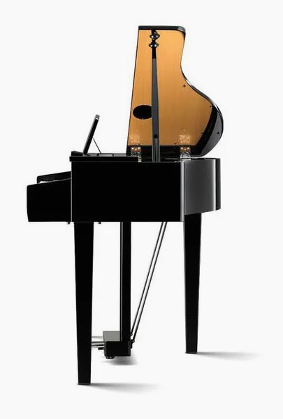 Kawai DG 30, vy 3