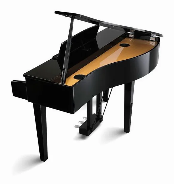 Kawai DG 30, vy 4