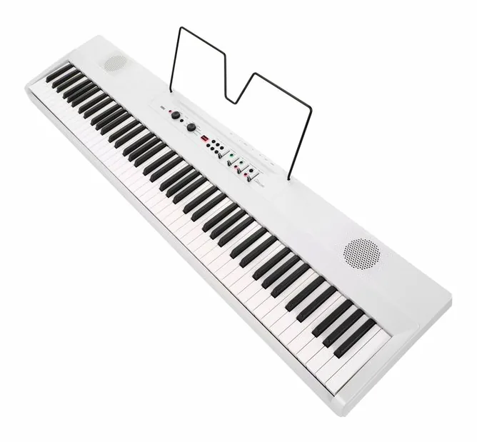 Korg Liano Live!, vy 4