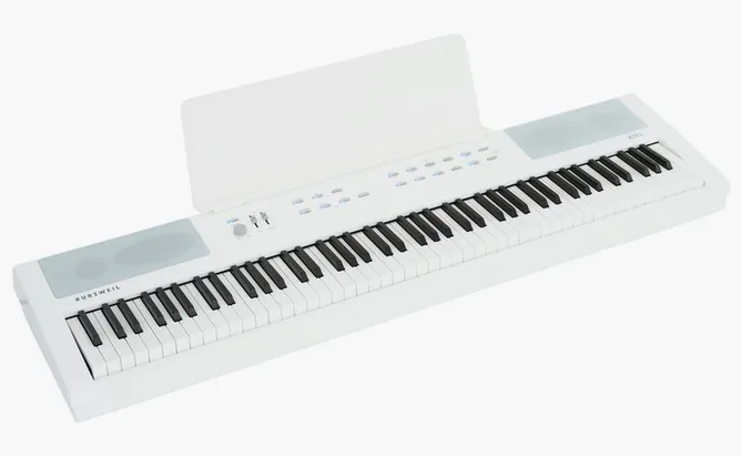 Kurzweil KaE1-WH, vy 2