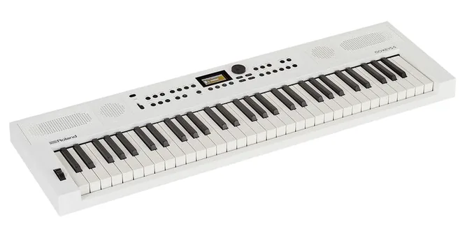 Roland GO:KEYS 5 WH, vy 2