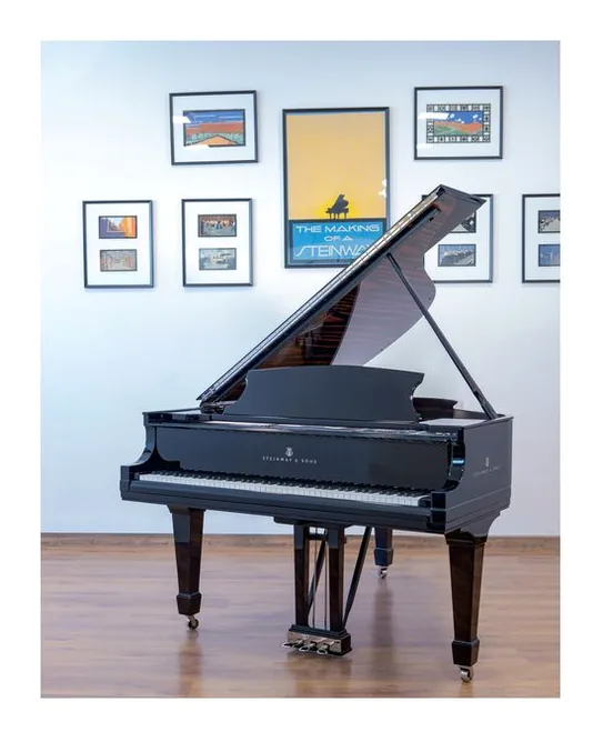 Steinway & Sons L Onyx Duet Grand Piano, vy 2