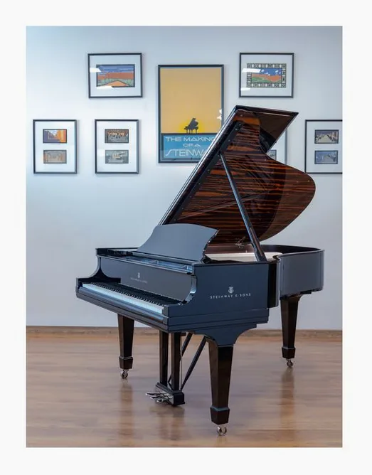 Steinway & Sons L Onyx Duet Grand Piano, vy 3