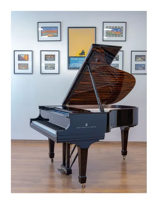 Steinway & Sons L Onyx Duet Grand Piano, vy 4