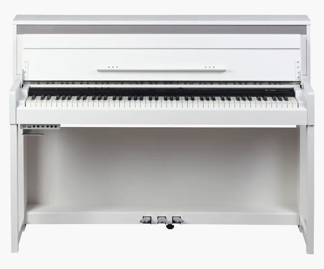 Thomann DP-140WH U, vy 2