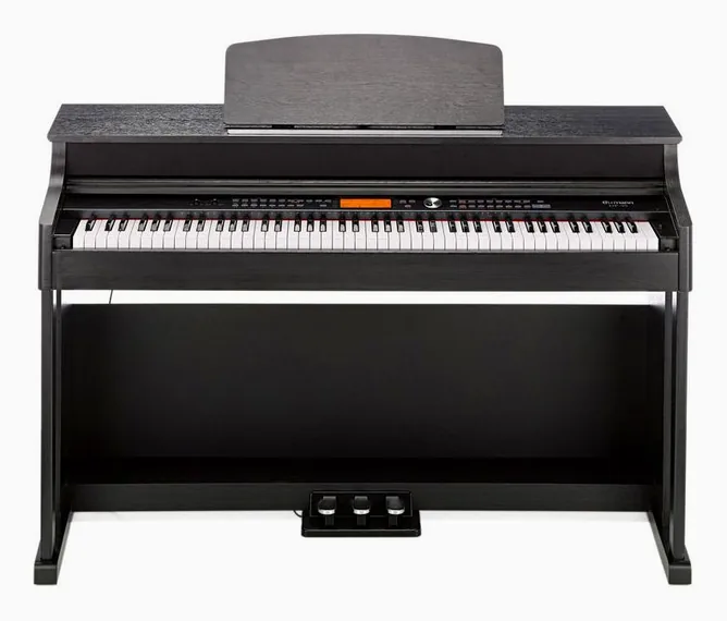 Thomann DP-95 B, vy 2