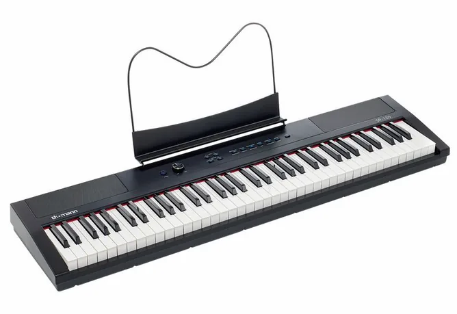 Thomann SP-120, vy 2