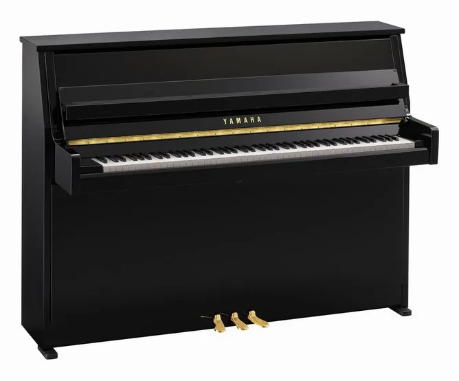Yamaha B10 PE framifrån mot vit bakgrund