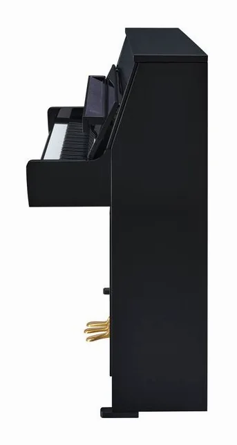 Yamaha B10 PE, vy 3