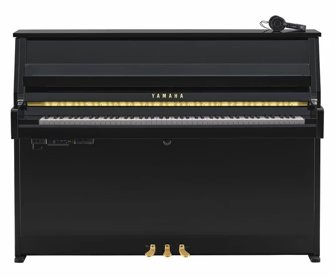 Yamaha B10 SC3 PE, vy 3