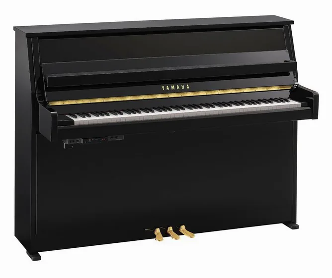 Yamaha B10 TC3 PE framifrån mot vit bakgrund