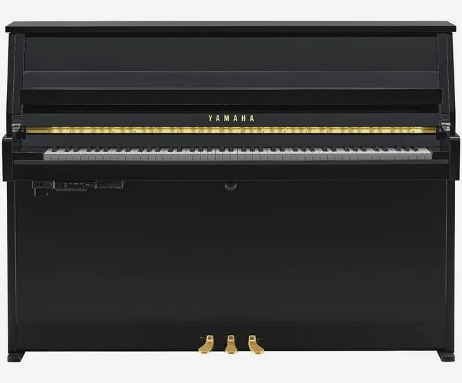 Yamaha B10 TC3 PE, vy 2