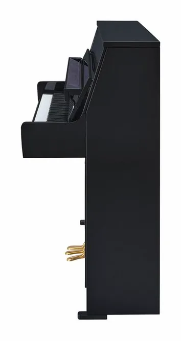 Yamaha B10 TC3 PE, vy 3