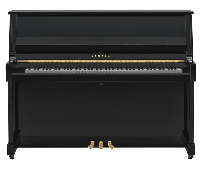 Yamaha B20 PE, vy 2