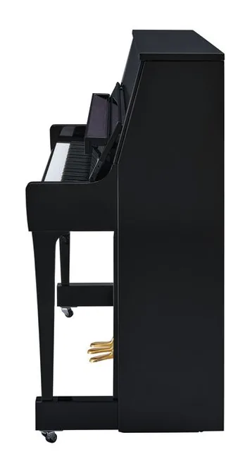 Yamaha B20 PE, vy 3