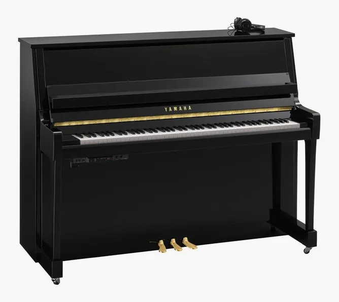 Yamaha B20 SC3 PE framifrån mot vit bakgrund