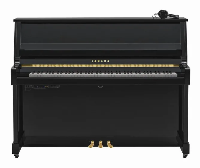 Yamaha B20 SC3 PE, vy 2