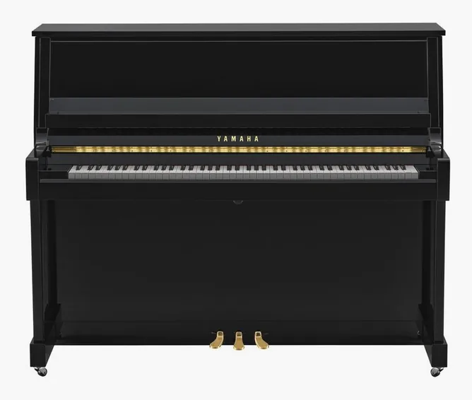 Yamaha B30 PE framifrån mot vit bakgrund