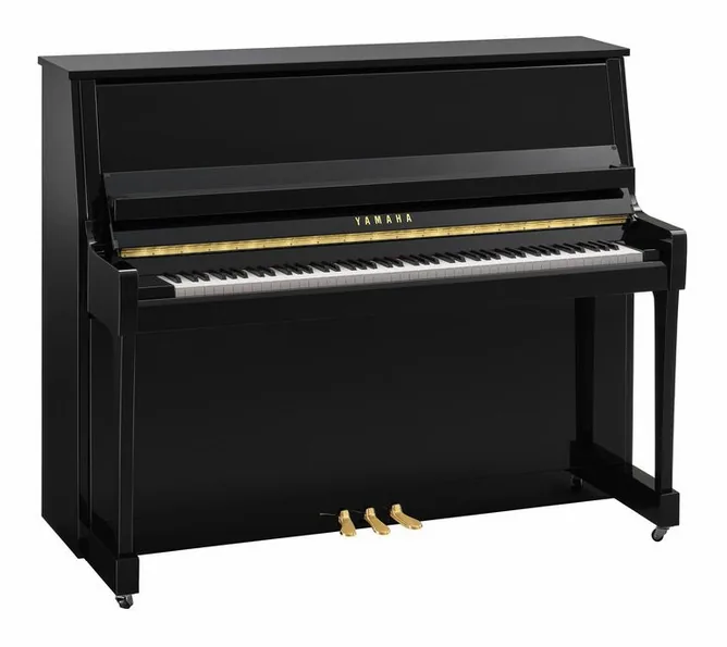 Yamaha B30 PE, vy 2