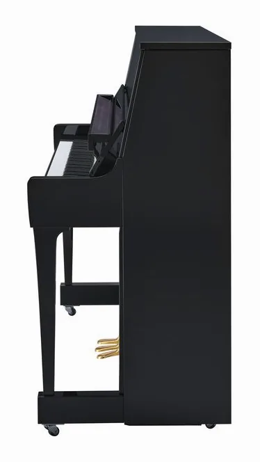 Yamaha B30 PE, vy 3