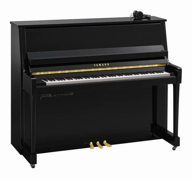 Yamaha B30 SC3 PE framifrån mot vit bakgrund