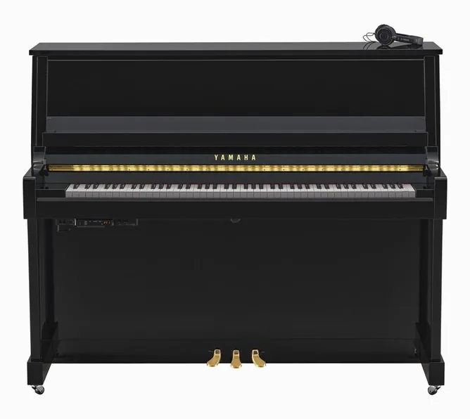 Yamaha B30 SC3 PE, vy 2
