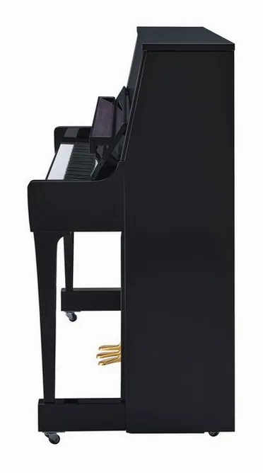 Yamaha B30 SC3 PE, vy 3