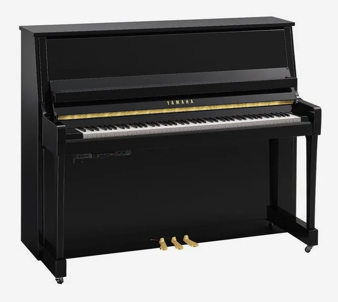 Yamaha B30 TC3 PE framifrån mot vit bakgrund