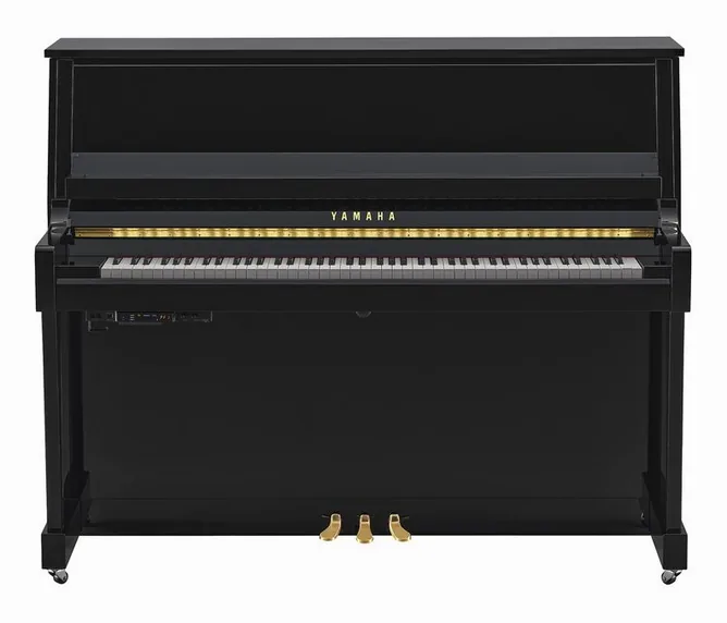 Yamaha B30 TC3 PE, vy 2