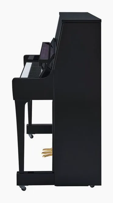 Yamaha B30 TC3 PE, vy 3