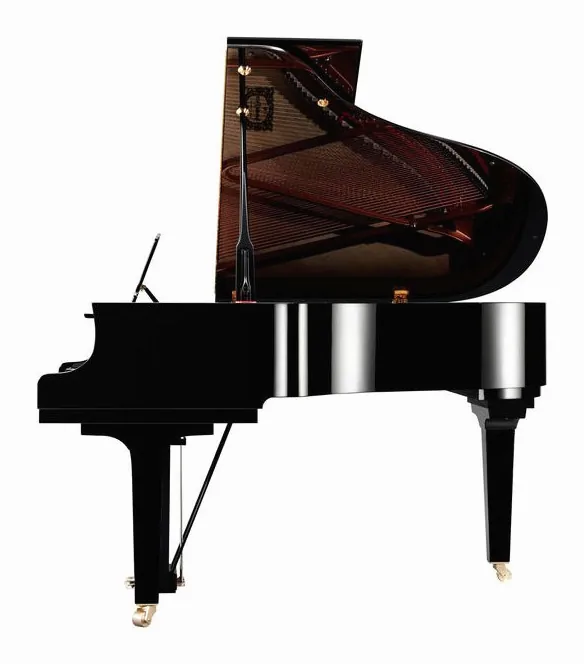 Yamaha C 2 X PE, vy 2