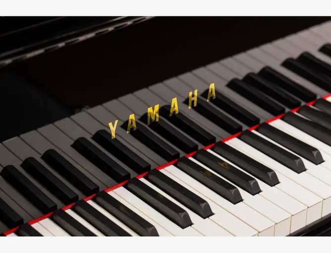 Yamaha C 2 X PE, vy 3