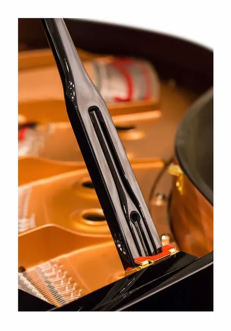 Yamaha C 2 X PE, vy 4