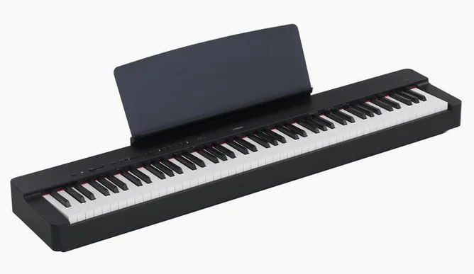 Yamaha P-225 B, vy 2