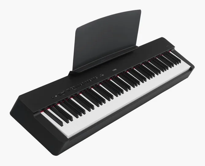 Yamaha P-225 B, vy 4